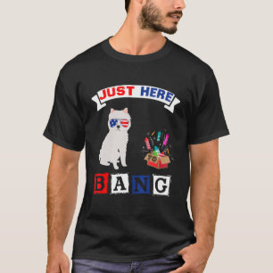 4th Of July Usa Flag Fireworks American Eskimo Do T-Shirt