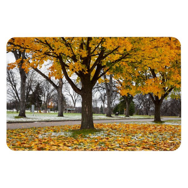 4x6 Flat Magnet (Horizontal)