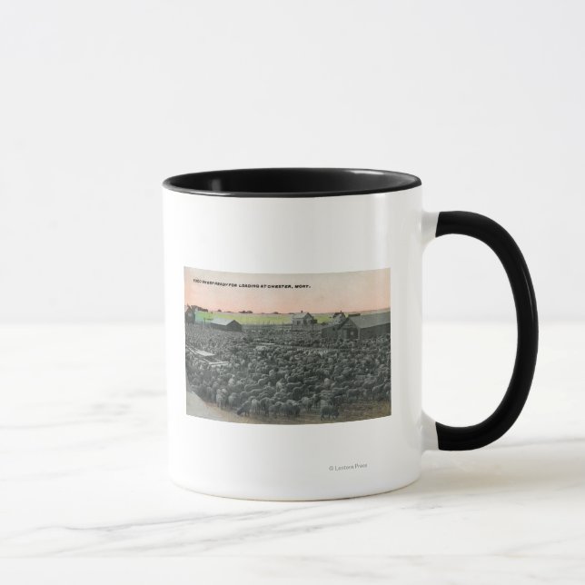 5000 Sheep Ready for ShippingChester, MT Mug (Right)