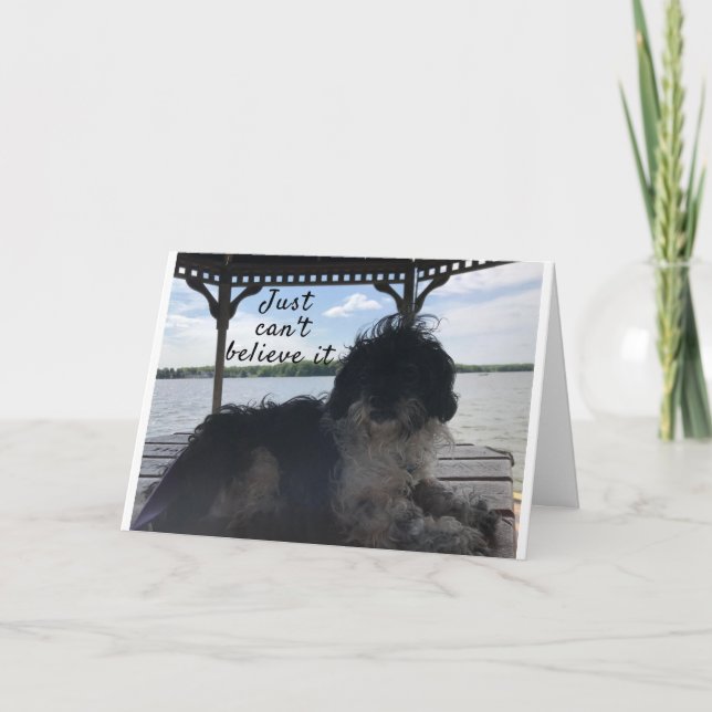 **50** HOW DOES IT FEEL BIRTHDAY HUMOR CARD (Front)