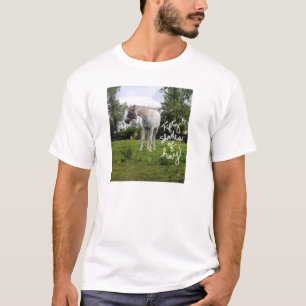 50 shades of hay t-shirt