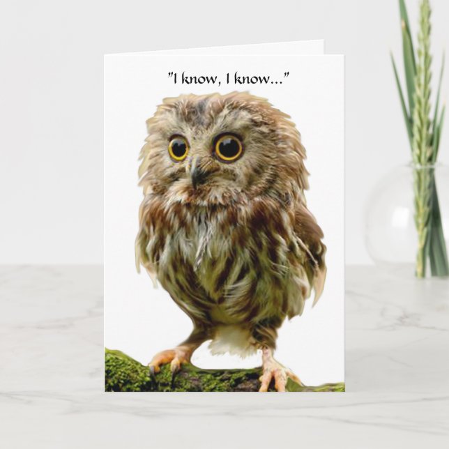 50 year old Owl birthday card (Front)