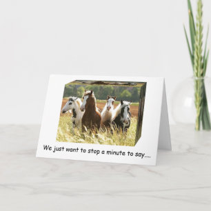 **50th BIRTHDAY** FUN TIME HORSES HAVE A HAY WISH Card