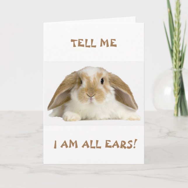 **50th** BIRTHDAY HUMOR FROM *FUNNY BUNNY" Card (Front)