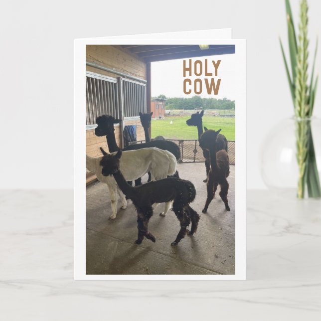 "50th BIRTHDAY??? JUST CAN'T BELIEVE IT Card (Front)