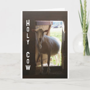 "50th BIRTHDAY??? JUST CAN'T BELIEVE IT Card