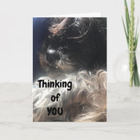 "50th BIRTHDAY" THINKING OF YOU LIKE I ALWAYS DO!