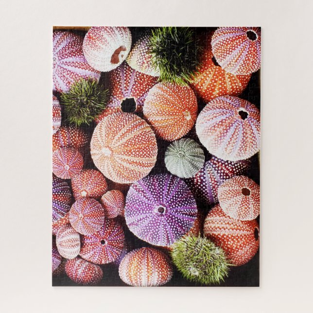 520 piece Sea urchins puzzle (Vertical)