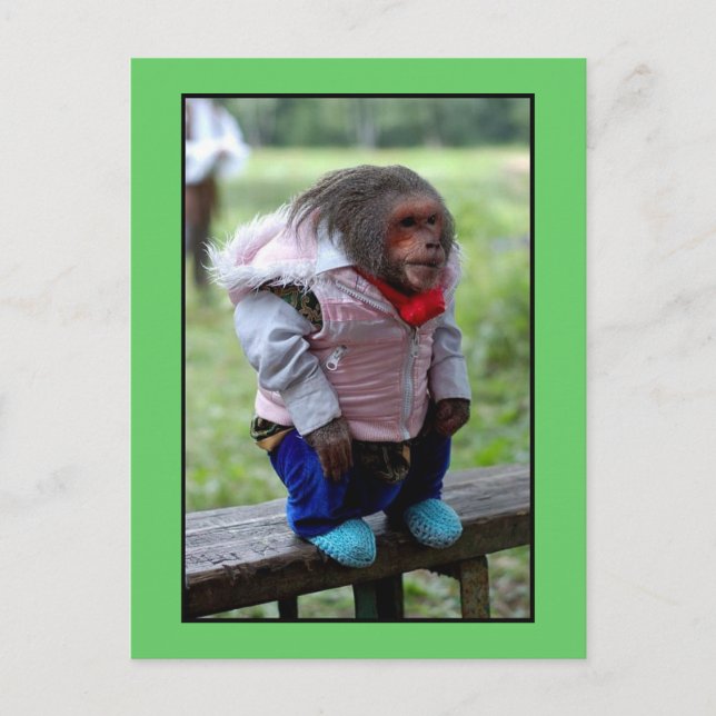 52170 POSTCARD (Front)