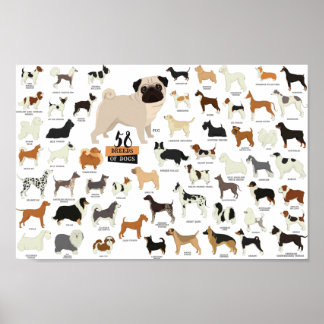 52 Breeds Of Dogs Poster