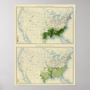 52 Cotton 1890 Poster