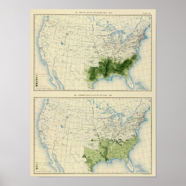 52 Cotton 1890 Poster (Front)