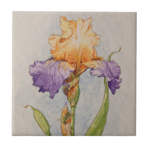 5310 Purple and Gold Iris Tile