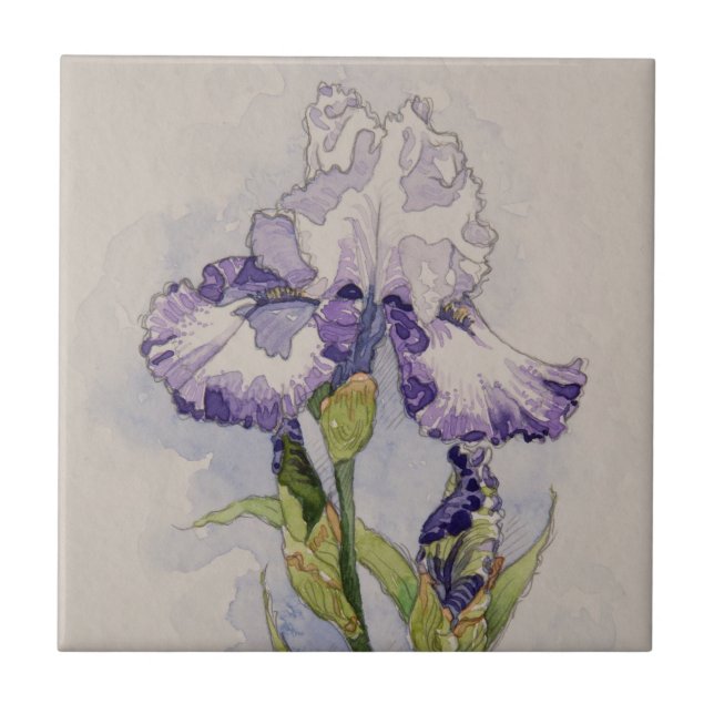 5327 Purple and White Iris Tile (Front)