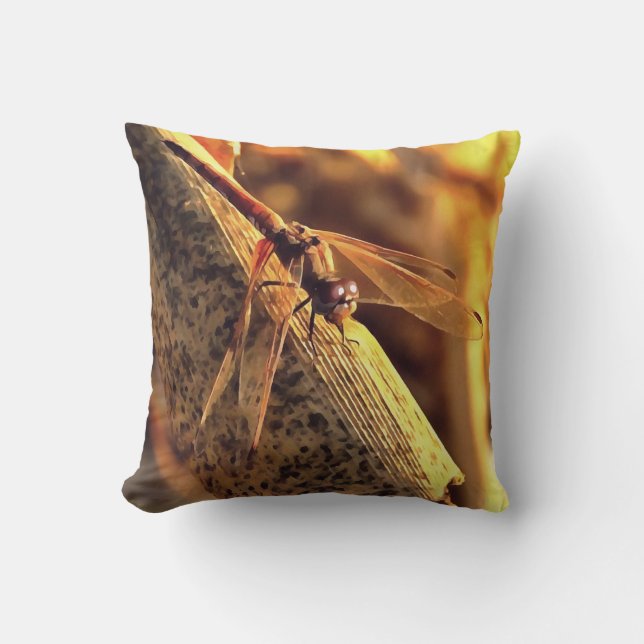 534424932Elegant Red Darter Dragonfly Insect Art Cushion (Front)