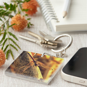 534424932Elegant Red Darter Dragonfly Insect Art Key Ring