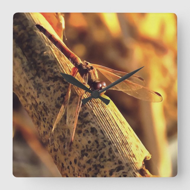 534424932Elegant Red Darter Dragonfly Insect Art Square Wall Clock (Front)
