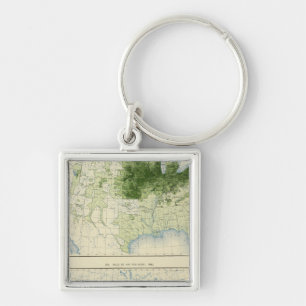 53 Hay 1890 Key Ring