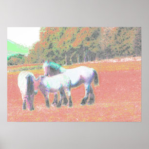 53 POSTER