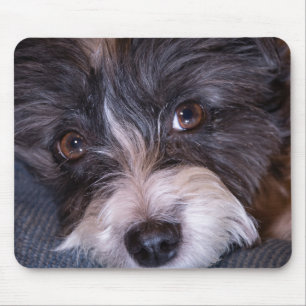 5402-Merry Anna the Papijack Dog Mouse Mat