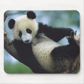 557711600wb1fp3 mouse mat