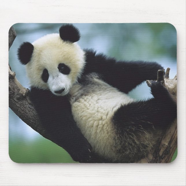 557711600wb1fp3 mouse mat (Front)