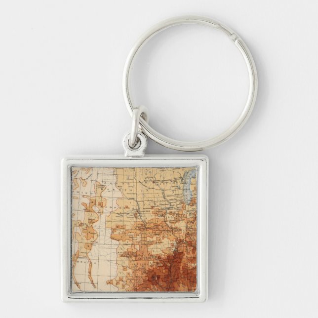 56 Proportion Negro population Key Ring (Front)