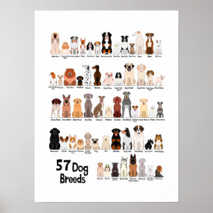 57 dog breeds poster