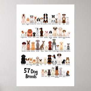 57 dog breeds poster