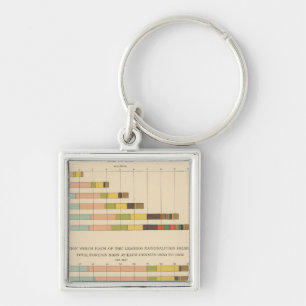 58 Foreign born 1850-1900 Key Ring