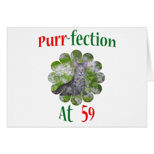 59 Purr-fection (Front Horizontal)