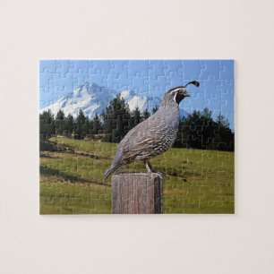 59 QUAIL ON DREAM POINT JIGSAW PUZZLE