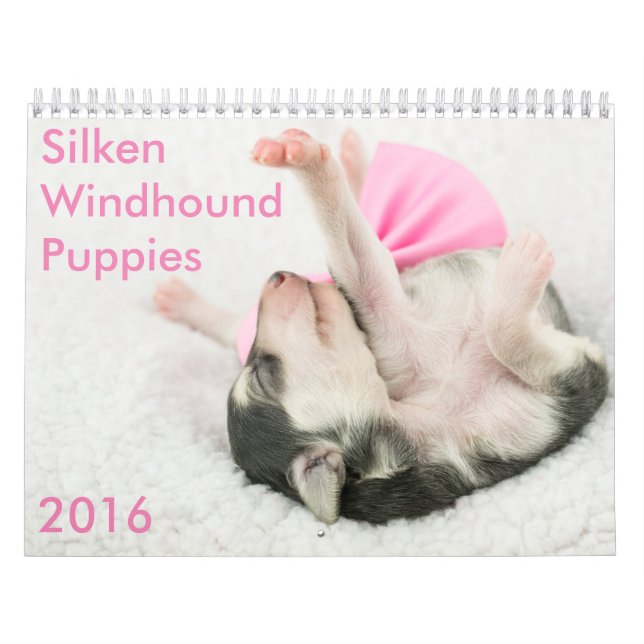 5 2016 Silken Windhound Puppies Calendar (Cover)