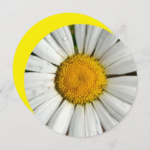 5.25 x 5.25 Invitation Circle