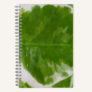 5.5" x 8.5" Spiral Notebook for Ideas and Notes
