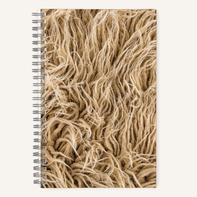5.5" x 8.5" Spiral Noteboook Notebook (Front)