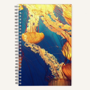 5.5" x 8.5" Spiral Noteboook Notebook