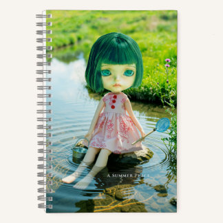 5.5x8.5 Journal: A Summer Place Notebook