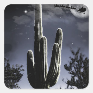 5 Armed Desert Saguaro in the Moonlight Square Sticker