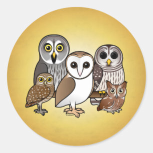 5 Birdorable Owls Classic Round Sticker