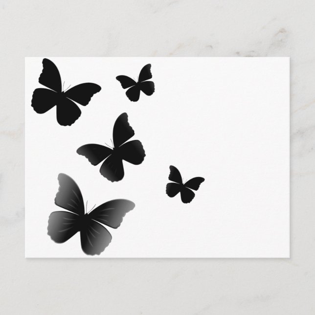 5 Black Butterflies Postcard (Front)