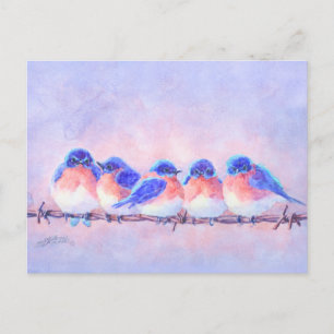 5 BLUEBIRDS on a WIRE by SHARON SHARPE Postcard