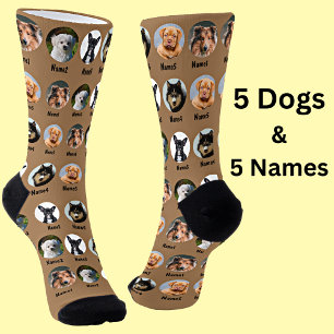 5 Dogs, 5 Names, Dog Photo - Personalised Brown Socks