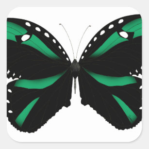 5 green butterfly square sticker