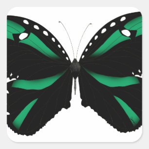 5 green butterfly square sticker
