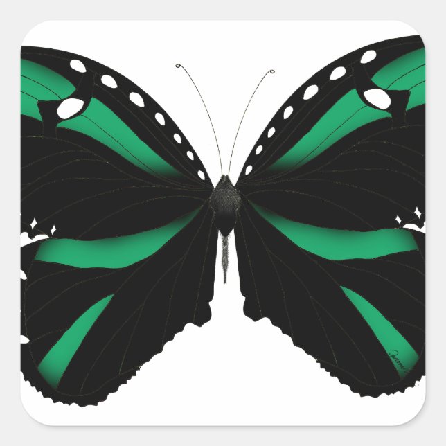 5 green butterfly square sticker (Front)