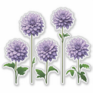 5 Lavender Dahlia (bright)