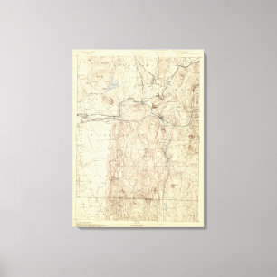 5 Palmer sheet Canvas Print