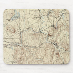 5 Palmer sheet Mouse Mat