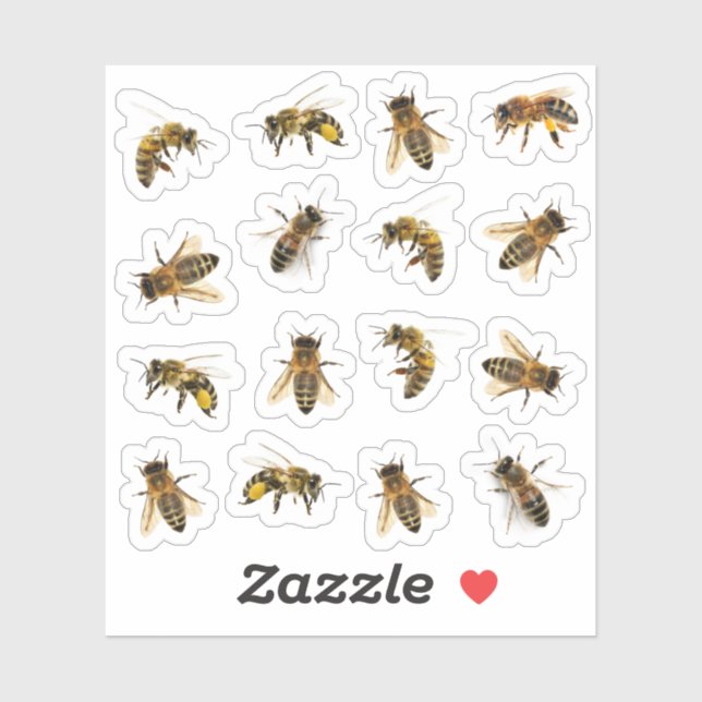 5 Realistic Honeybees on 16 Vinyl Stickers  (Sheet)